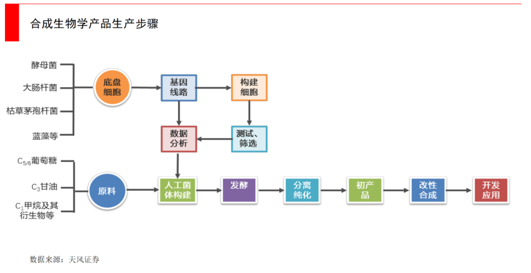 2024新澳门2024免费原料网