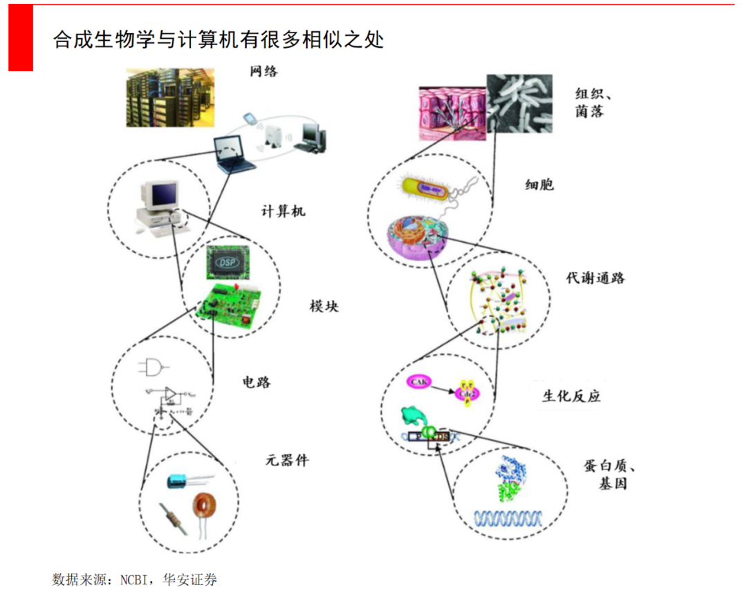 2024新澳门2024免费原料网