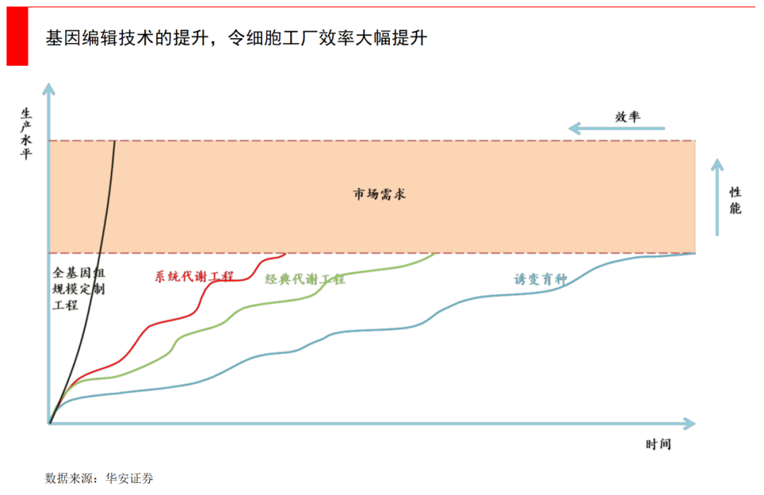 2024新澳门2024免费原料网