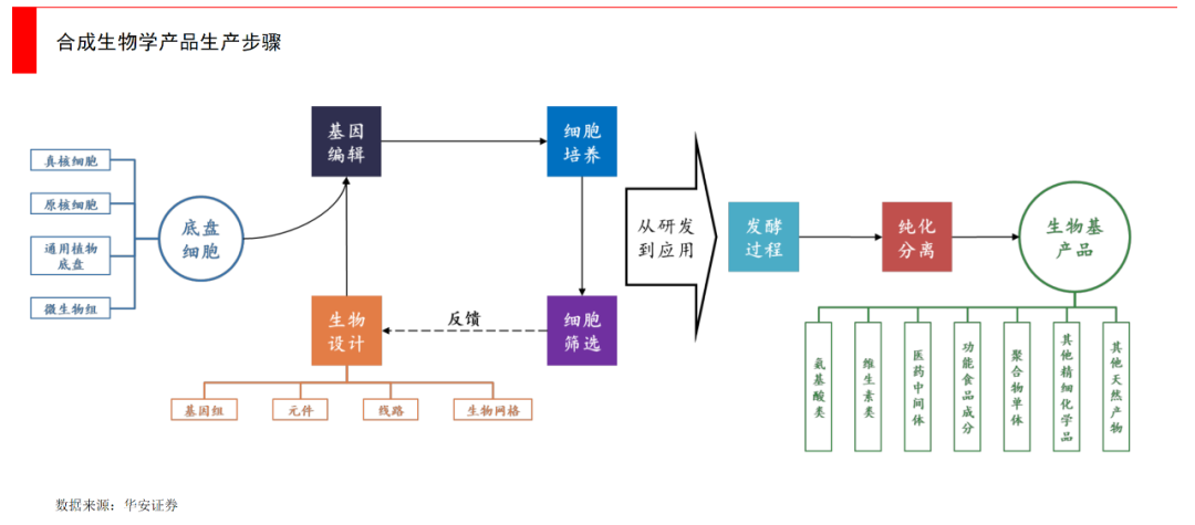 2024新澳门2024免费原料网